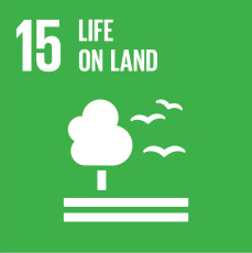 Sustainable Millenium Developent Goals